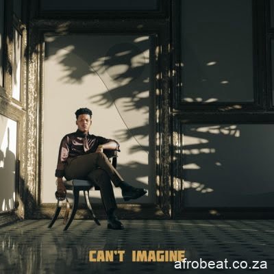 Nasty C – Cant Imagine Afro Beat Za - Nasty C – Can’t Imagine