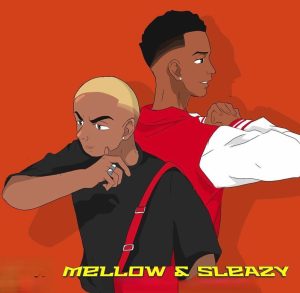 mellow sleazy – chipi ke chipi Afro Beat Za 300x293 - Mellow &amp; Sleazy – Chipi Ke Chipi