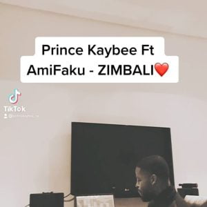 prince kaybee ft ami faku – zimbali teaser Afro Beat Za 300x300 - Prince Kaybee Ft. Ami Faku – Zimbali (Teaser)