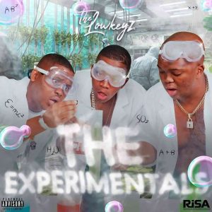 the lowkeys – the experimentals vol 3 mix Afro Beat Za 300x300 - The Lowkeys – The Experimentals Vol 3 Mix