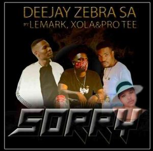 deejay zebra sa – sorry ft lemark xola pro tee Afro Beat Za 300x296 - Deejay Zebra SA – Sorry Ft. LeMark, Xola &amp; Pro-Tee