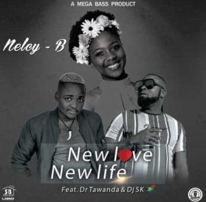 nelcy b – new love new life ft dr tawanda dj sk Afro Beat Za 300x295 - Nelcy-B – New Love, New Life ft Dr. Tawanda &amp; DJ Sk