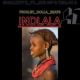 Smallboy D & NCS MP Ft. Trillah B – Indlala
