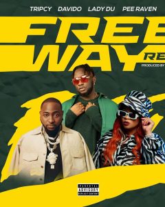 tripcy lady du davido nektunes ft dj pee raven – freeway remix Afro Beat Za 240x300 - Tripcy, Lady Du, Davido &amp; Nektunes Ft. DJ Pee Raven – Freeway (Remix)