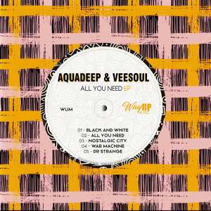 aquadeep veesoul – all you need dub mix Afro Beat Za - Aquadeep &amp; Veesoul – All You Need (Dub Mix)