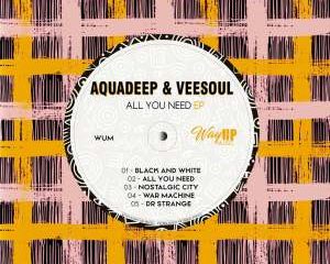 Aquadeep & Veesoul – All You Need (Dub Mix)