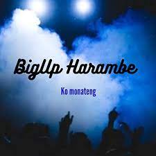 bigup harambe – kae kapa kae official audio Afro Beat Za - BigUp Harambe – Kae kapa Kae (Official Audio)