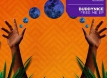 buddynice – free me Afro Beat Za - Buddynice – Free Me