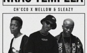 chicco mellow sleazy – nkao tempela official audio Afro Beat Za 300x183 - Chicco, Mellow &amp; Sleazy – Nkao Tempela (Official Audio)