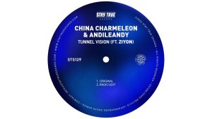 china charmeleon andileandy – tunnel vision ft ziyon Afro Beat Za 300x169 - China Charmeleon &amp; AndileAndy – Tunnel Vision ft. Ziyon