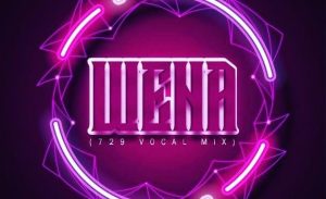 dzo 729 guyu pane – wena 729 vocal mix ft sego m Afro Beat Za 300x183 - Dzo 729 &amp; Guyu Pane – Wena (729 Vocal Mix) Ft. Sego M