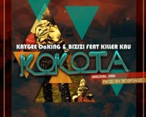 Kaygee & Bizizi – Kokota Piano (Dj TeeSoul Revisit)