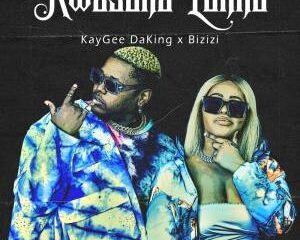Kaygee DaKing & Bizizi – Ama Camera