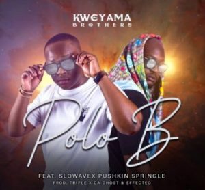 kweyama brothers ft slowavex pushkin springle – polo b Afro Beat Za 300x278 - Kweyama Brothers ft Slowavex Pushkin Springle – Polo B