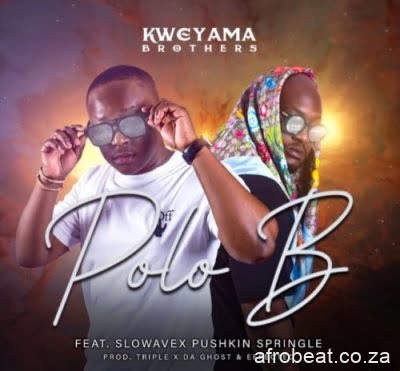 Kweyama Brothers ft Slowavex Pushkin Springle – Polo B