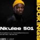 Nkulee 501 & TribeSoul – This & That (Tech Mix)