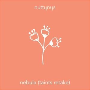 nutty nys – nebula taints retake Afro Beat Za 300x300 - Nutty Nys – Nebula (taints Retake)