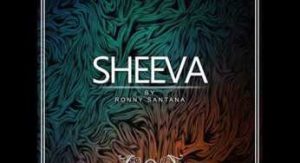 ronny santana – sheeva original mix Afro Beat Za 300x163 - Ronny Santana – Sheeva (Original Mix)