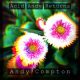Andy Compton – Silent Wandering (ft. Tenisha Edwards)