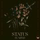 Devine Maestro & Synth-O-Ven – Status In Mind (Thap’Soul Remix)