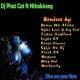 Dj Phat Cat – Give Me Your Time Ft. Nthabiseng Tebza Audifunk SA Remix