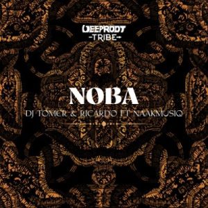 dj tomer ricardo – noba ft naakmusiq Afro Beat Za 300x300 - DJ Tomer &amp; Ricardo – Noba ft. NaakMusiQ