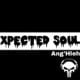 Expected Soulz – Broken Tears Soulful Mix
