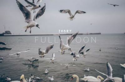 Ivory – Full Moon