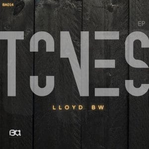 Lloyd BW – Shimmert (Original Mix)