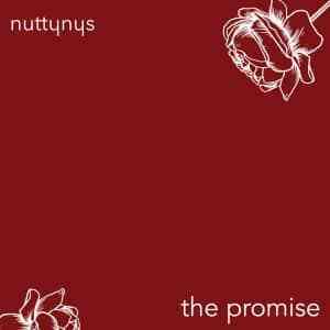 nutty nys – the promise Afro Beat Za - Nutty Nys – The Promise