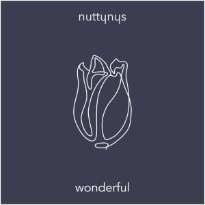 nutty nys – wonderful original mix Afro Beat Za - Nutty Nys – Wonderful (Original Mix)
