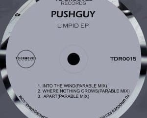 Pushguy – Where Nothing Grows (Original Mix)