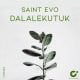 Saint Evo – Dalalekutuk Extended Mix