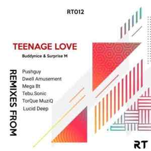 buddynice surprise m – teenage love pushguy remix Afro Beat Za - Buddynice &amp; Surprise M – Teenage Love (Pushguy Remix)