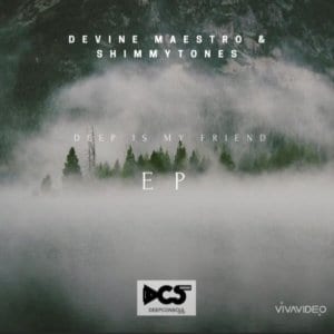 Devine Maestro,ShimmyTones – Everyday You Out There (Mark Lane Remix)