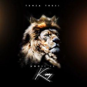 download tumza thusi kgosi is king album Afro Beat Za - DOWNLOAD Tumza Thusi Kgosi Is King Album