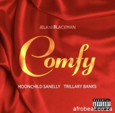 Jelani Blackman ft Moonchild Sanelly & Trillary Banks  – Comfy (Audio)