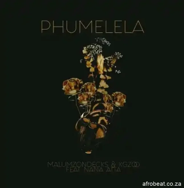Malumz On Decks & Kgzoo – Phumelela ft. Nana Atta