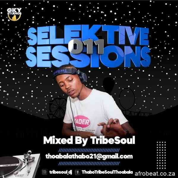 TribeSoul – Selektive Sessions 011 Mix (Audio)