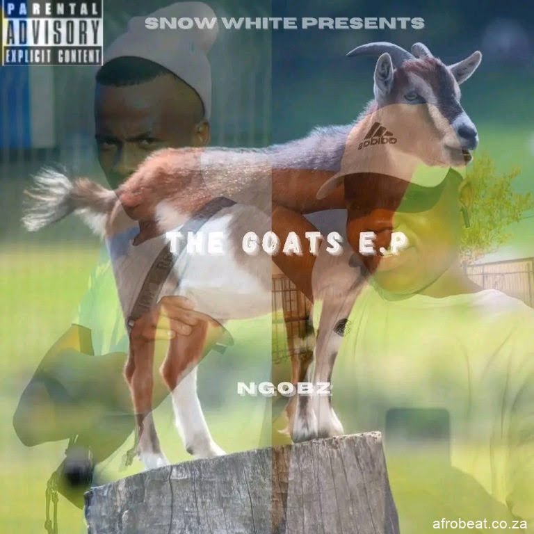 Ngobz & Sthipla Rsa – The Goats To Felo Le Tee, Dbn Gogo & Uncle Waffles (Song)